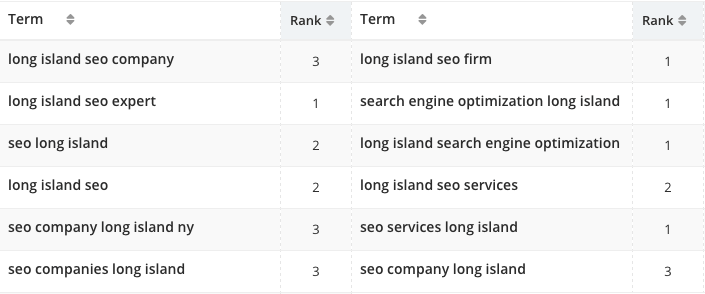 search engine results for long island seo and other keywords